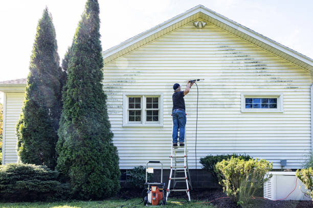 Best Gutter Cleaning  in Whitfield, FL